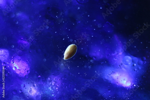 Fototapeta Naklejka Na Ścianę i Meble -  Cosmic abstraction background sesame gummy surrounded by air bubbles flies through blue space