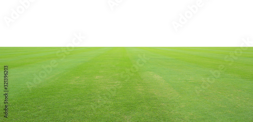 grass field isolated on white background. © saranyoo
