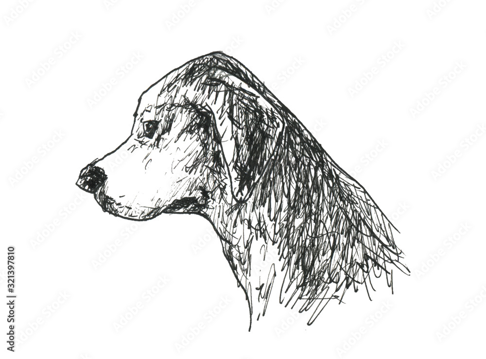 犬の横顔 垂れ耳 Stock イラスト Adobe Stock