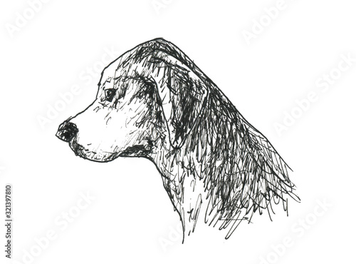 犬の横顔 垂れ耳 Stock イラスト Adobe Stock 犬の横顔 垂れ耳 Stock イラスト Adobe Stock