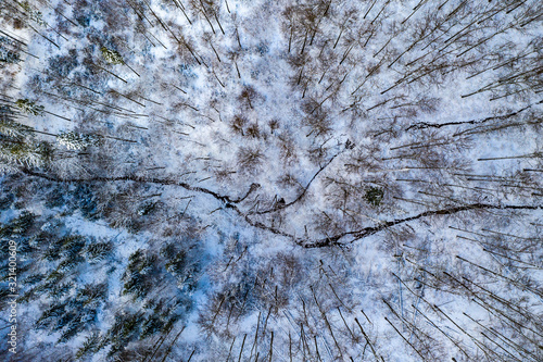 Fototapeta Naklejka Na Ścianę i Meble -  Zima
