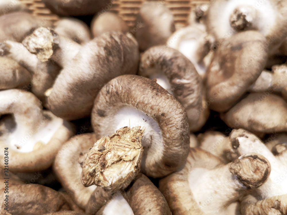 Dried mushrooms on the market as a background Dried mushrooms on the market as a background