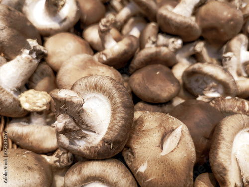 Dried mushrooms on the market as a background