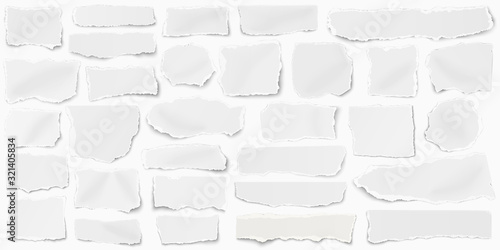 Set of paper different shapes fragments placed elongately and isolated on white background