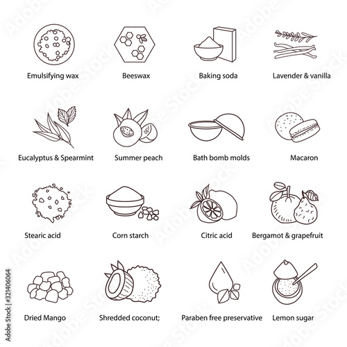 Vector Set of Herbs and Spices. Set of different herbs and spices  beeswax   Lavender   vanilla  citric acid  Dried Mango  Shredded coconut  Lemon sugar.