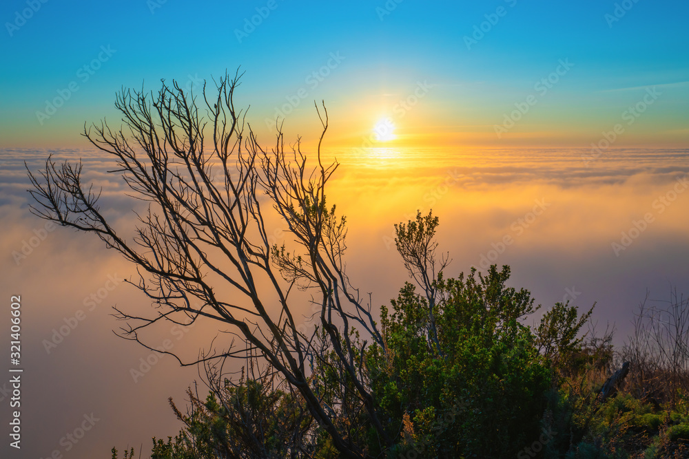 Marine layer above the Pacific Ocean at sunset. Aerial view, California Coastline