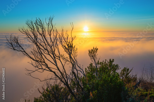 Marine layer above the Pacific Ocean at sunset. Aerial view, California Coastline © Hanna Tor