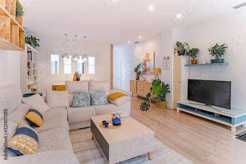 Cozy stylish bright living room with natural style, sofa, wooden table, pictures,books and plants. Spacious modern lounge interior in earthy colors.