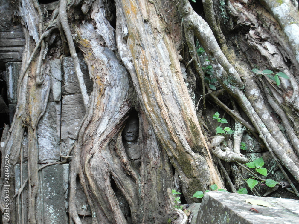 Angkor Wat is a Hindu Temple in Cambodia Angkor Wat is a Hindu Temple in Cambodia