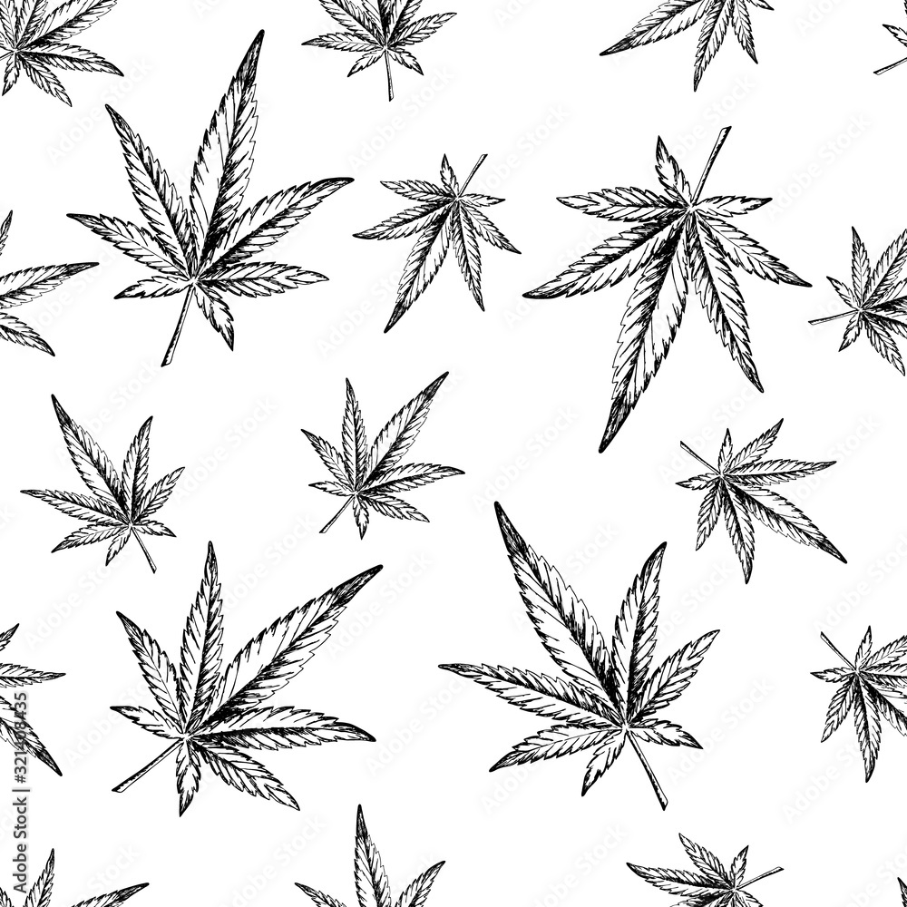 Marijuana leaves seamless pattern. Hand-drawn ink doodle hemp for packaging, banners and scrapbooking paper. Outline cannabis. Stock vector illustration isolated on transparent background.