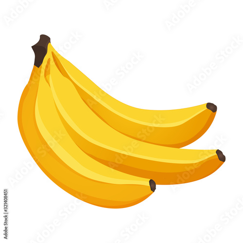 Banana isolated on white background. Tropical fruit realistic illustration vector.