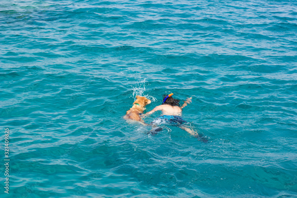 enjoy summer water activities guy swimming in sea with his dog Labrador pet nature outdoor top view background wallpaper picture