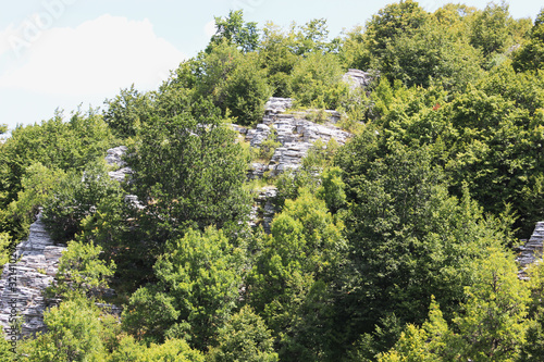 Stone forest natural rock formation Monodendri Zagori Greece