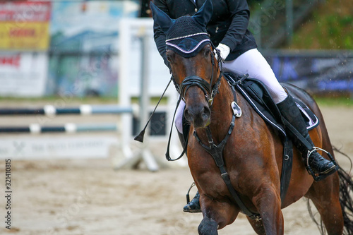 Horse at a jumping tournament with rider in a gallop close-up.. © RD-Fotografie