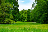 Meadow with green grass and trees in Zamecky Park in Hluboka Castle (Hluboka nad Vltavou, Czech Republic) during spring season