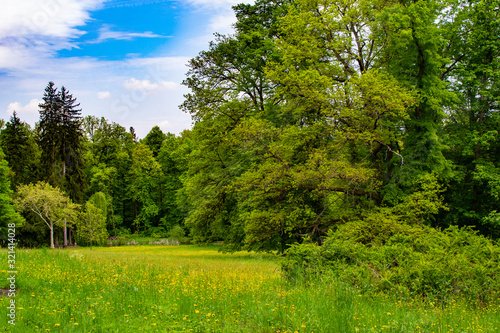 Meadow with green grass and trees in Zamecky Park in Hluboka Castle (Hluboka nad Vltavou, Czech Republic) during spring season