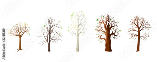Flat collection with spring trees. Trees oak, aspen, maple, chestnut, willow leaves awakening. Isolated vector illustration.