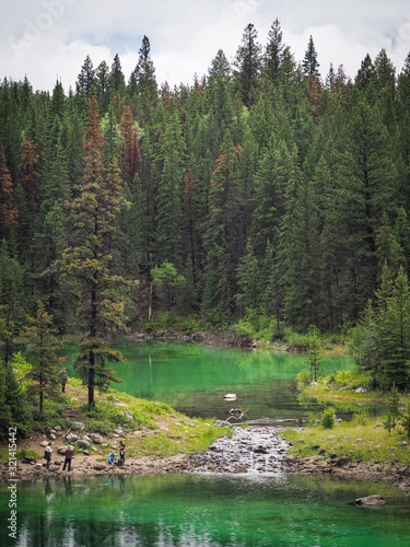 Canadian forests