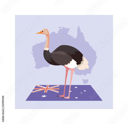 greeting card with australian ostrich