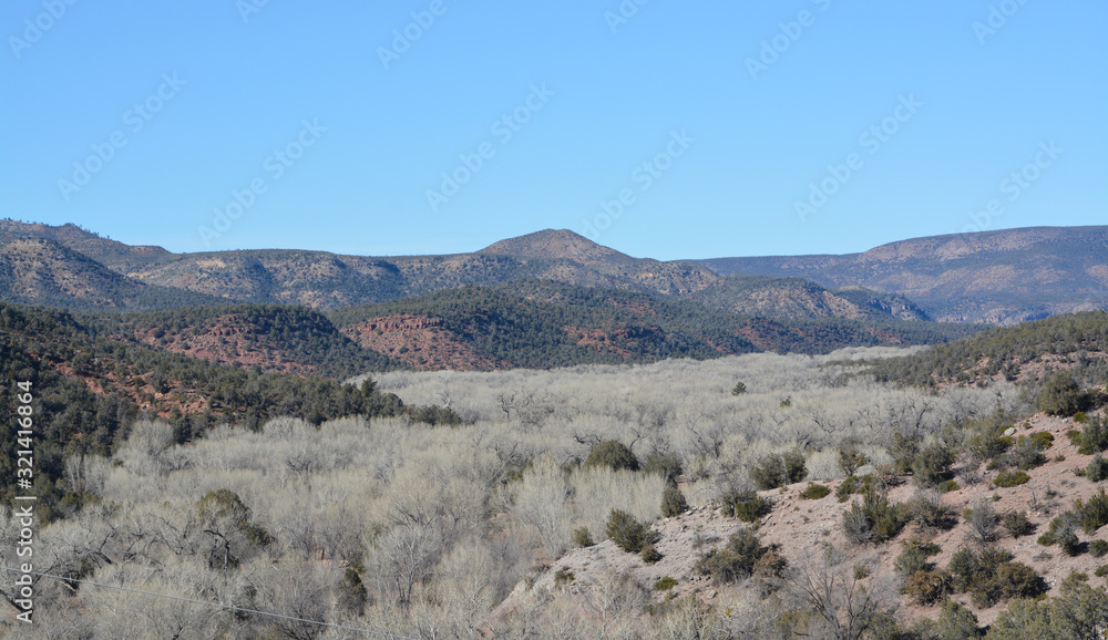 Beautiful winter view of the Cottonwood Trees and valley at Carrizo in the Salt River Canyon, Gila County, Apache Indian Reservation, Eastern Arizona USA Beautiful winter view of the Cottonwood Trees and valley at Carrizo in the Salt River Canyon, Gila County, Apache Indian Reservation, Eastern Arizona USA
