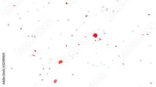 Red rose petals Blowing in the wind on a white background.