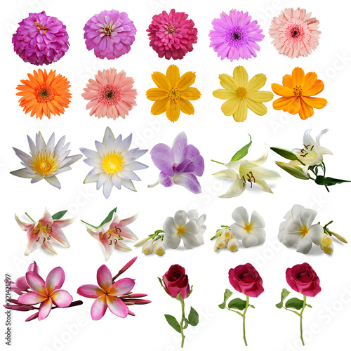 Big collection of flowers of various types and colors Isolated on white background. © seesulaijular