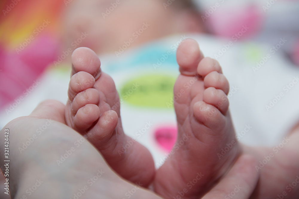 newborn baby feet on a white background newborn baby feet on a white background