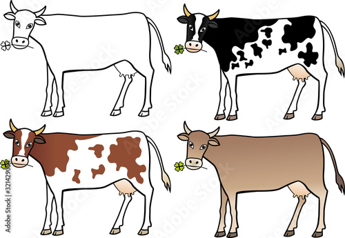 Vector drawing of cow in various colors. Outline, spotted and brown swiss.