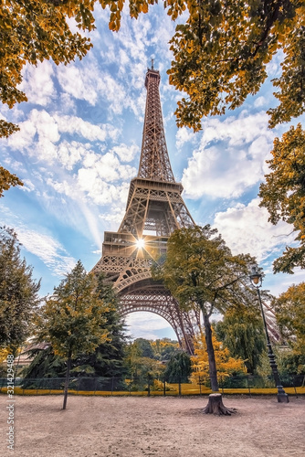 Eiffel tower in Paris viewed from the Champ-de-Mars park © Stockbym