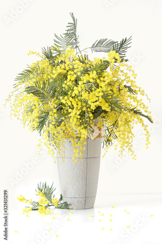 beautiful fresh Yellow Mimosa flowers (Acacia) in a vase on a white table.