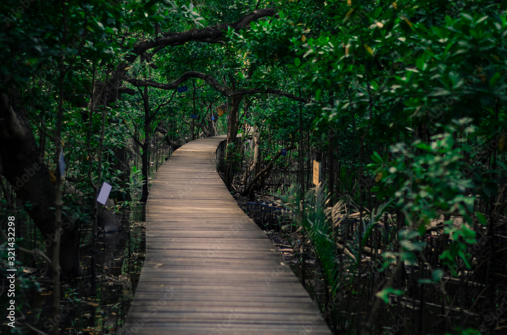 wooden bridge in forest wooden bridge in forest