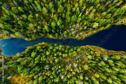 Aerial view of fast river through green pine forest in Finland