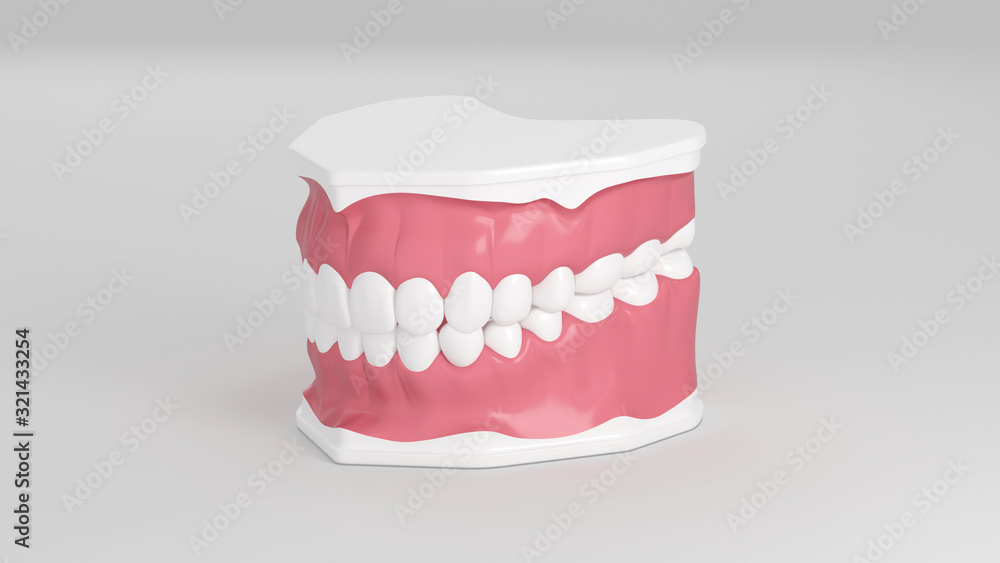 Obraz premium 3D jaw with teeth, tooth enamel