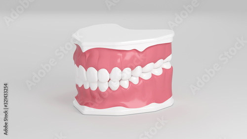 3D jaw with teeth, tooth enamel