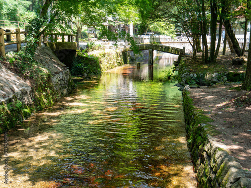 Water flow in a park in countryside of JAPAN.