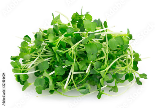 Fotografie Micro green arugula isolated on white background
