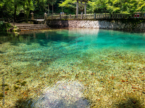 Clear pond is in countryside of Japan. 