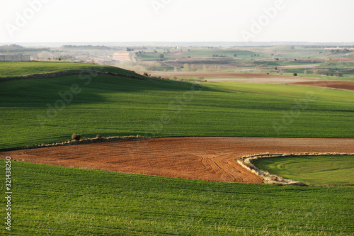 Crop fields, Spain, Europe