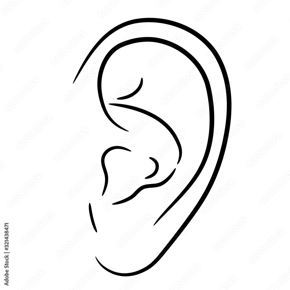 Human ear from the contour black brush lines different thickness on white background. Vector illustration. Human ear from the contour black brush lines different thickness on white background. Vector illustration.