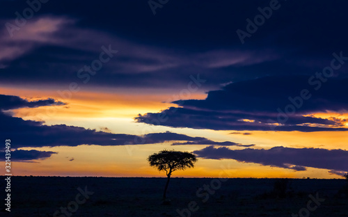 Sunset in the Masai Mara with acacia tree silhouette horizontal