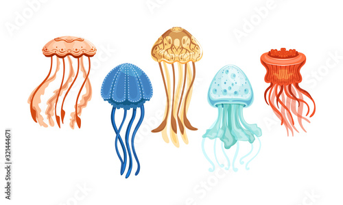 Jellyfish Collection, Beautiful Swimming Marine Creatures Set Vector Illustration