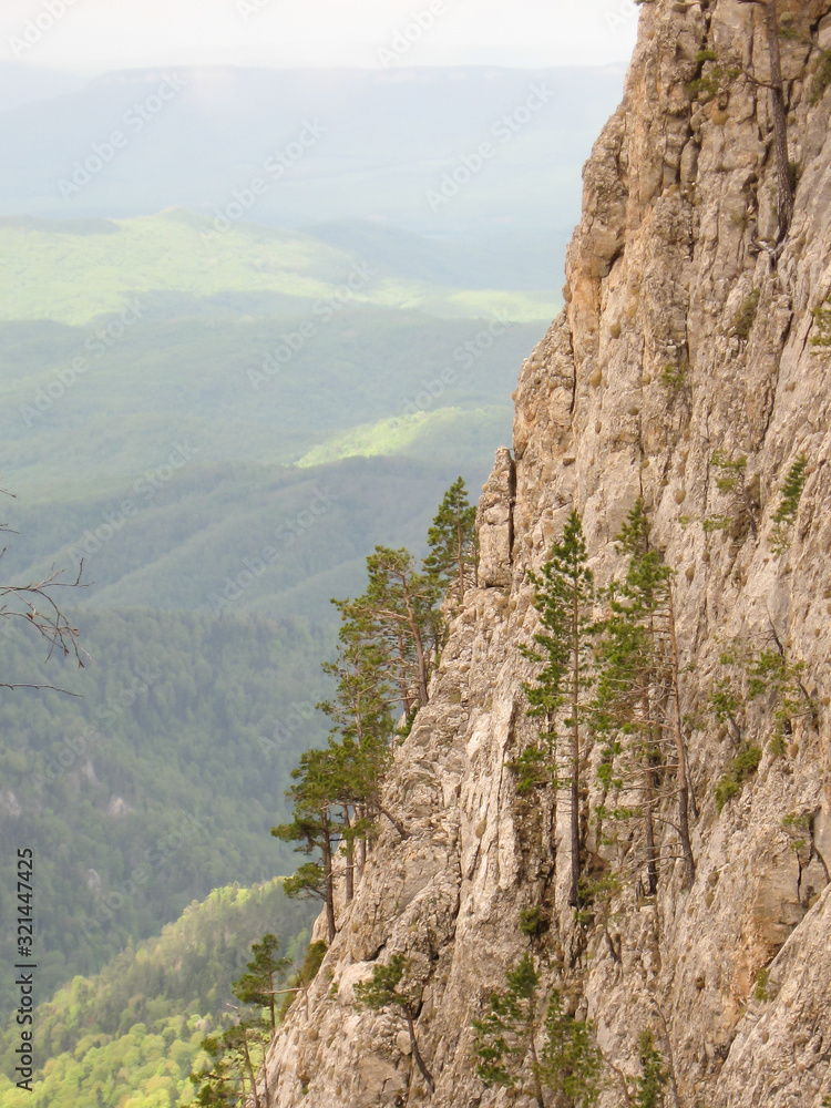 A steep slope with growing trees. View from the top. A steep slope with growing trees. View from the top.