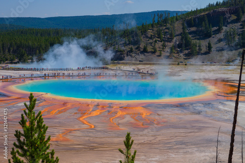 View from the hill ,Grand Prismatic Spring, Yellowstone
