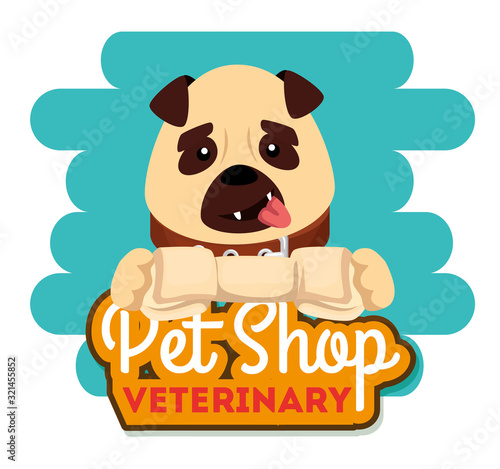 pet shop veterinary with little dog