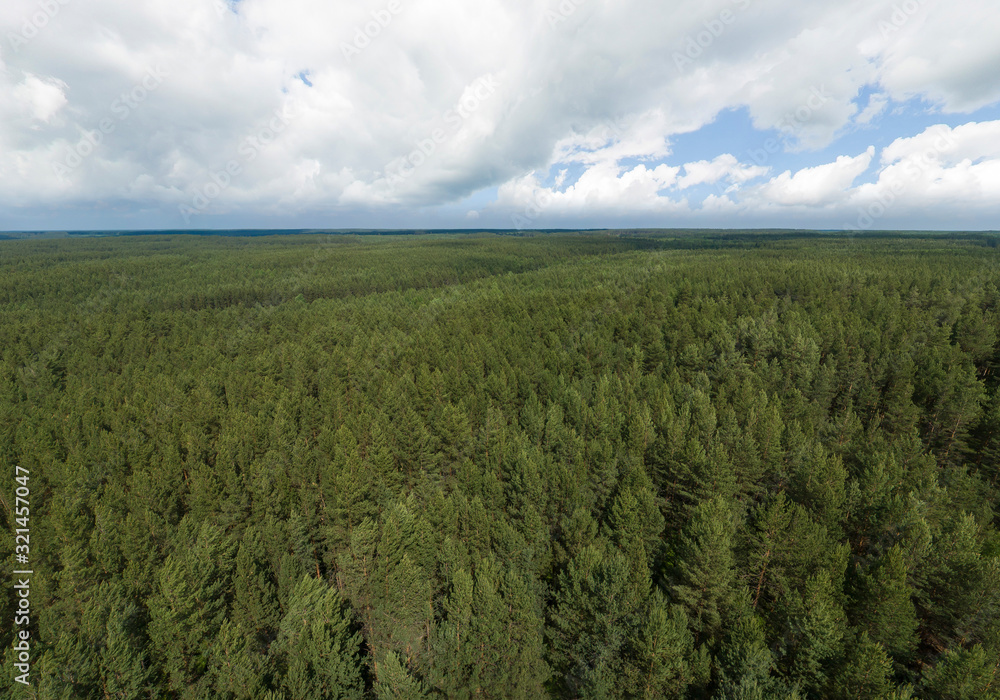 Aerial view of Endless forest and clouds. Summer, sunny Aerial view of Endless forest and clouds. Summer, sunny