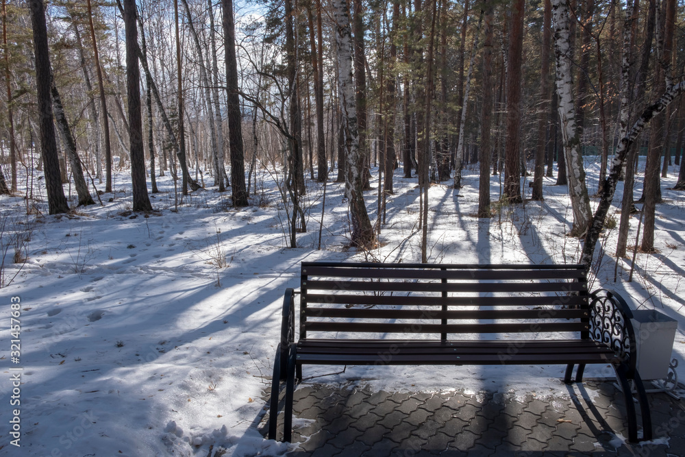 Bench in snowy forest.