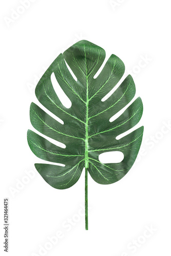 Artificial monstera leaves isolated on a white