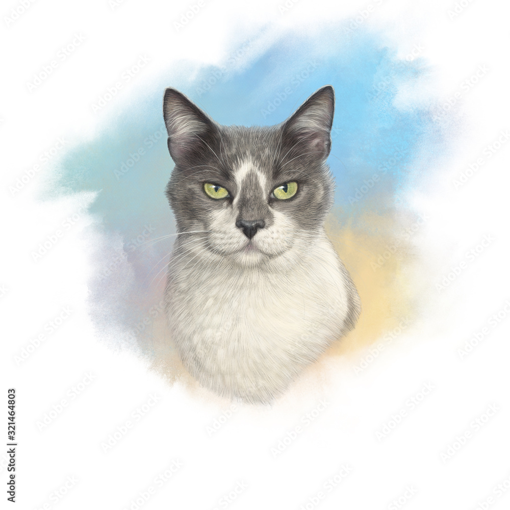 Portrait of Cute cat on watercolor background. Realistic drawing of a cat  with green eyes. Animal