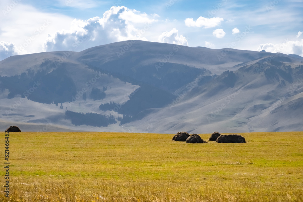 Obraz premium Farming, agriculture. Yellow hay bale in mountains on blue cloudy sky background.
