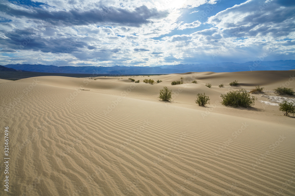 mesquite flat sand dunes in death valley, california, usa